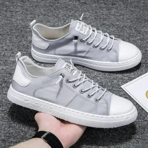 Reyanfootwear Men Casual Canvas Shoes